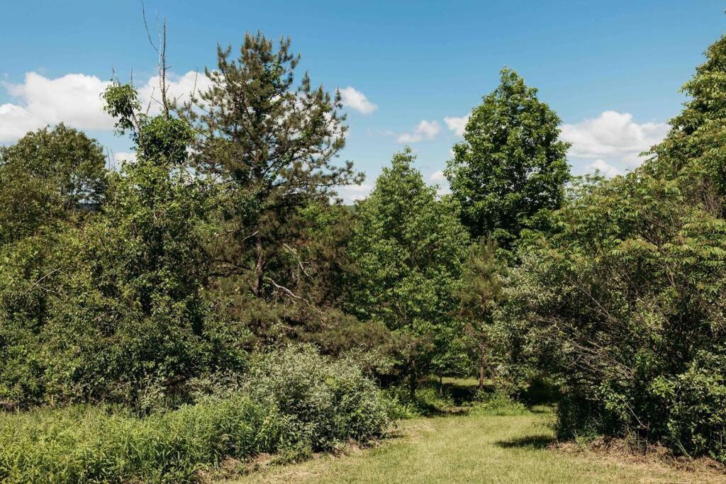 Willa Rustic Ridge Penn Yan Zewnętrze zdjęcie